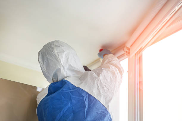  , USA Mold Removal & Remediation Pros